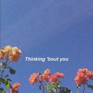 Meet your Posher, Jess